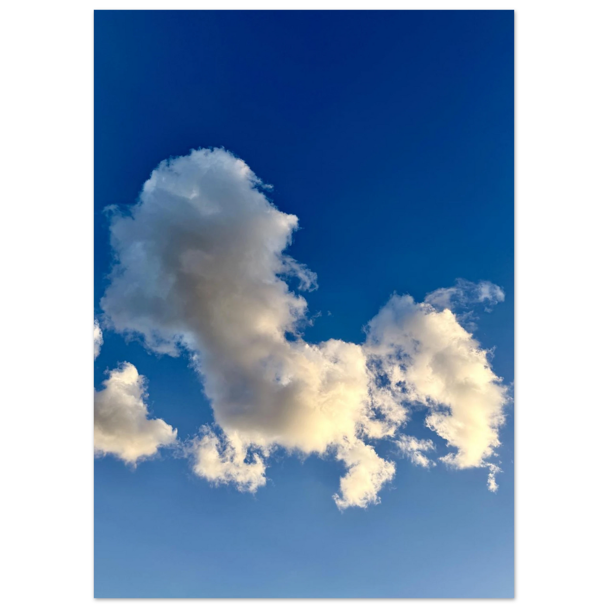 83abc5e7-6a7e-4924-968c-ff41c84d5216
