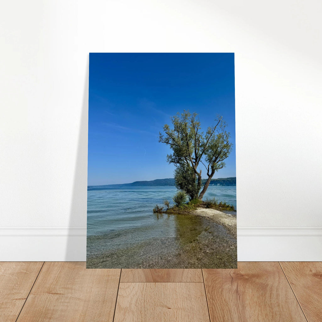 Majestic tree on European lake aluminum print, nature-inspired wall art from My Store's Travel Collection, studio edition.