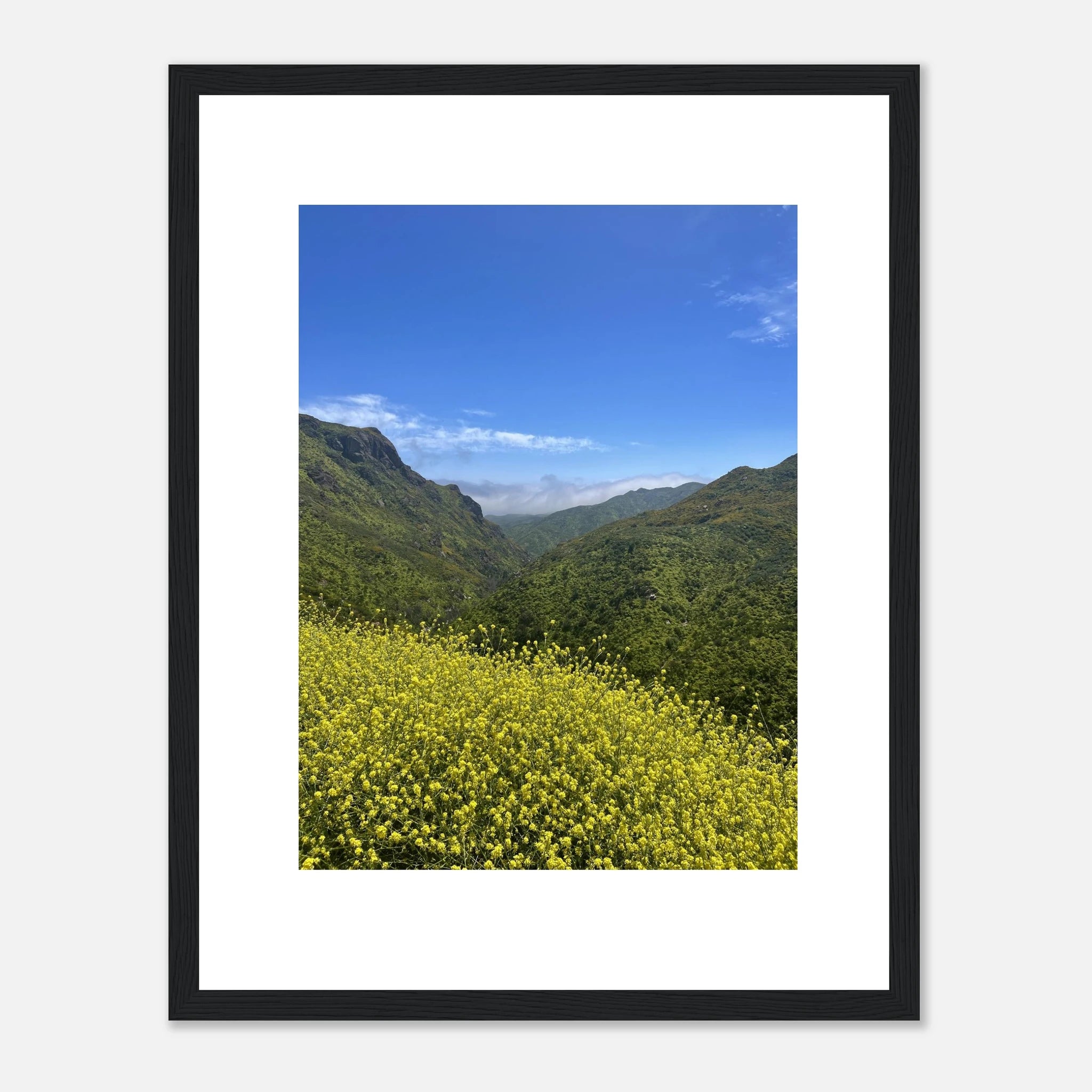 High-quality framed art print of Malibu Canyon in spring bloom wildflowers, showcasing California landscape and vibrant floral details.