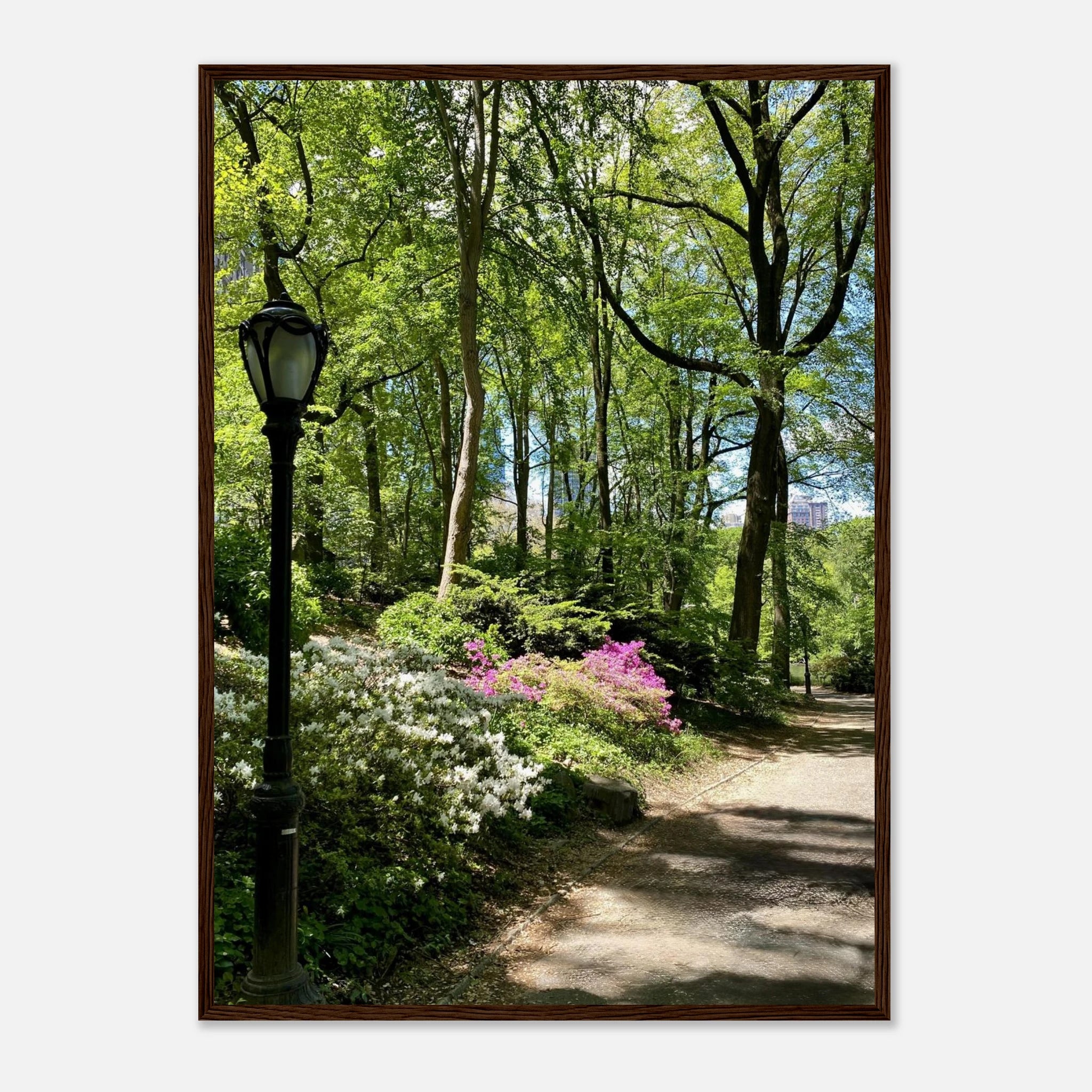 Framed art print of Central Park walkway, on premium matte paper with wooden frame, from the Serene Stroll Travel Collection.