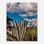 Oaxaca Desert canvas artwork featuring mezcal plantation, vibrant colors in a travel collection print by Studio Edition.