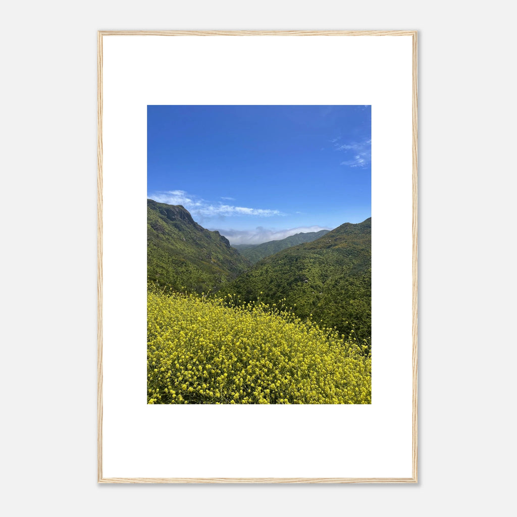 High-quality framed art print of Malibu Canyon in spring bloom wildflowers, showcasing vibrant California landscape artwork.