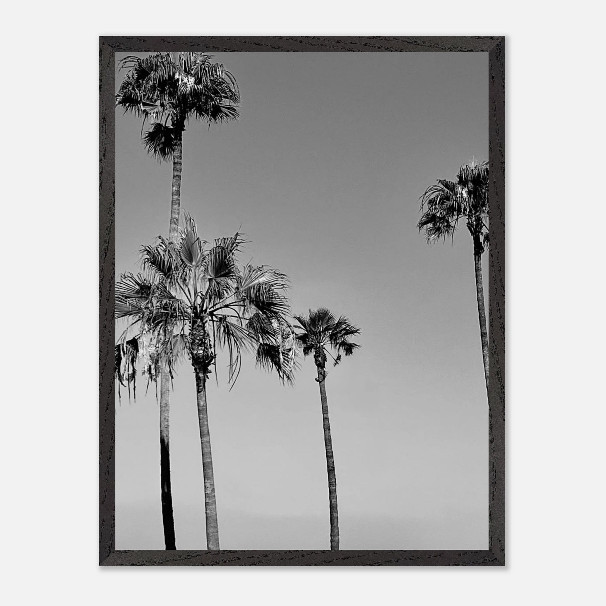 Premium wooden framed black and white California beach icons poster art, semi-gloss finish, Studio Edition.