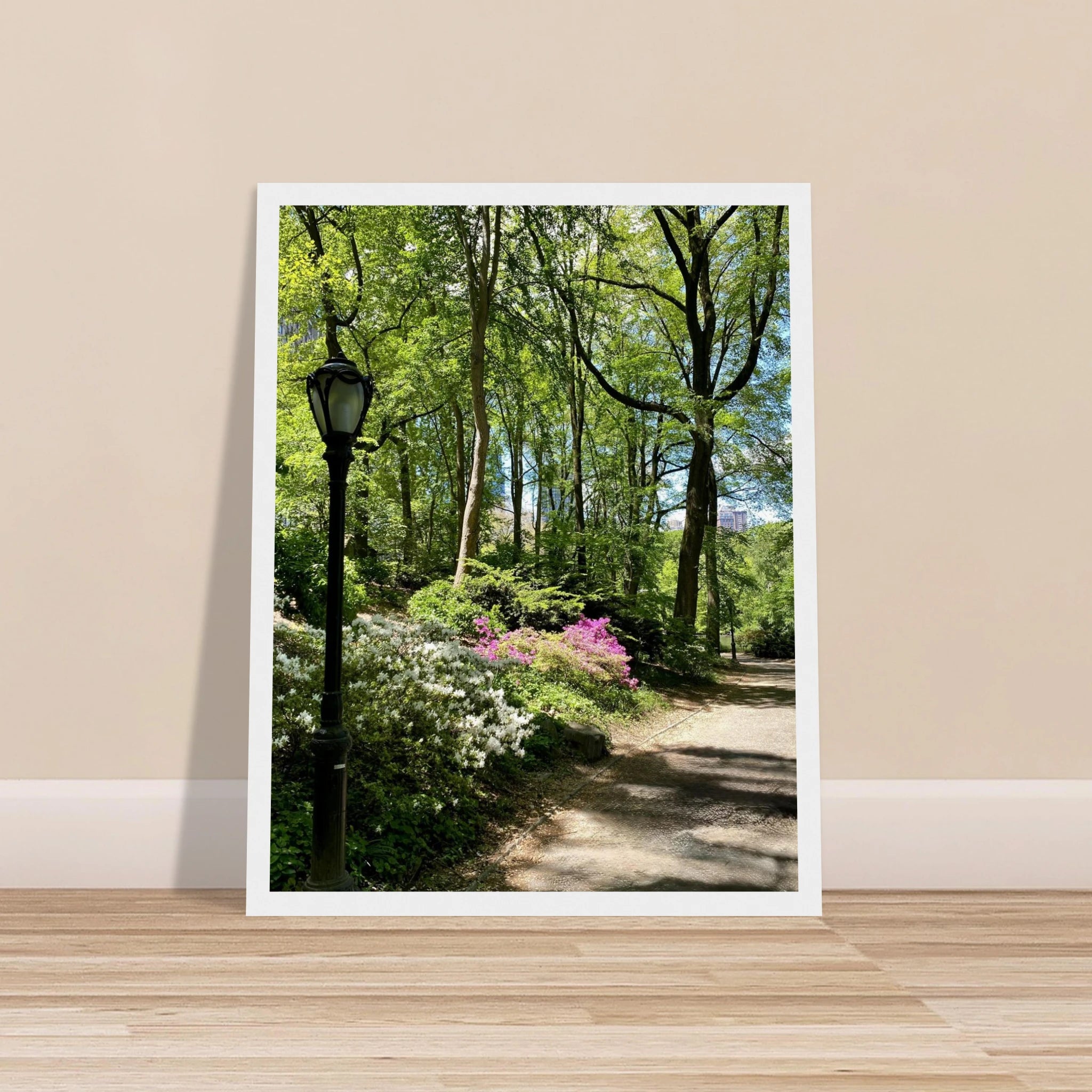 Central Park walkway framed art print on premium matte paper with wooden frame, part of the Studio Edition travel collection.