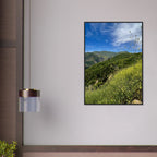 Malibu Canyon Wildflowers wooden framed poster on museum-quality matte paper wall art featuring California native wildflower scene.