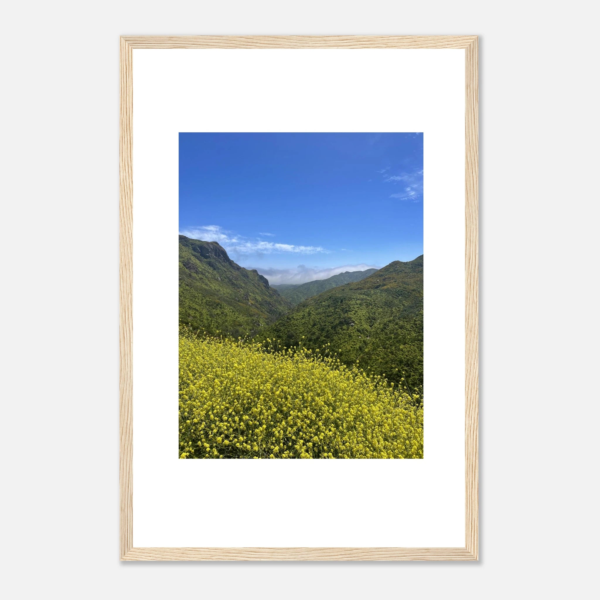 High-quality framed art print of Malibu Canyon in spring bloom wildflowers, California poster art by My Store.