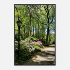 Central Park walkway framed art print on premium matte paper with wooden frame, part of the Studio Edition travel collection.