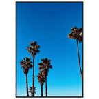 Santa Barbara Palm Tree Magic poster by CaliCuration, framed California home decor art on semi-glossy paper, Studio Edition Spring 26