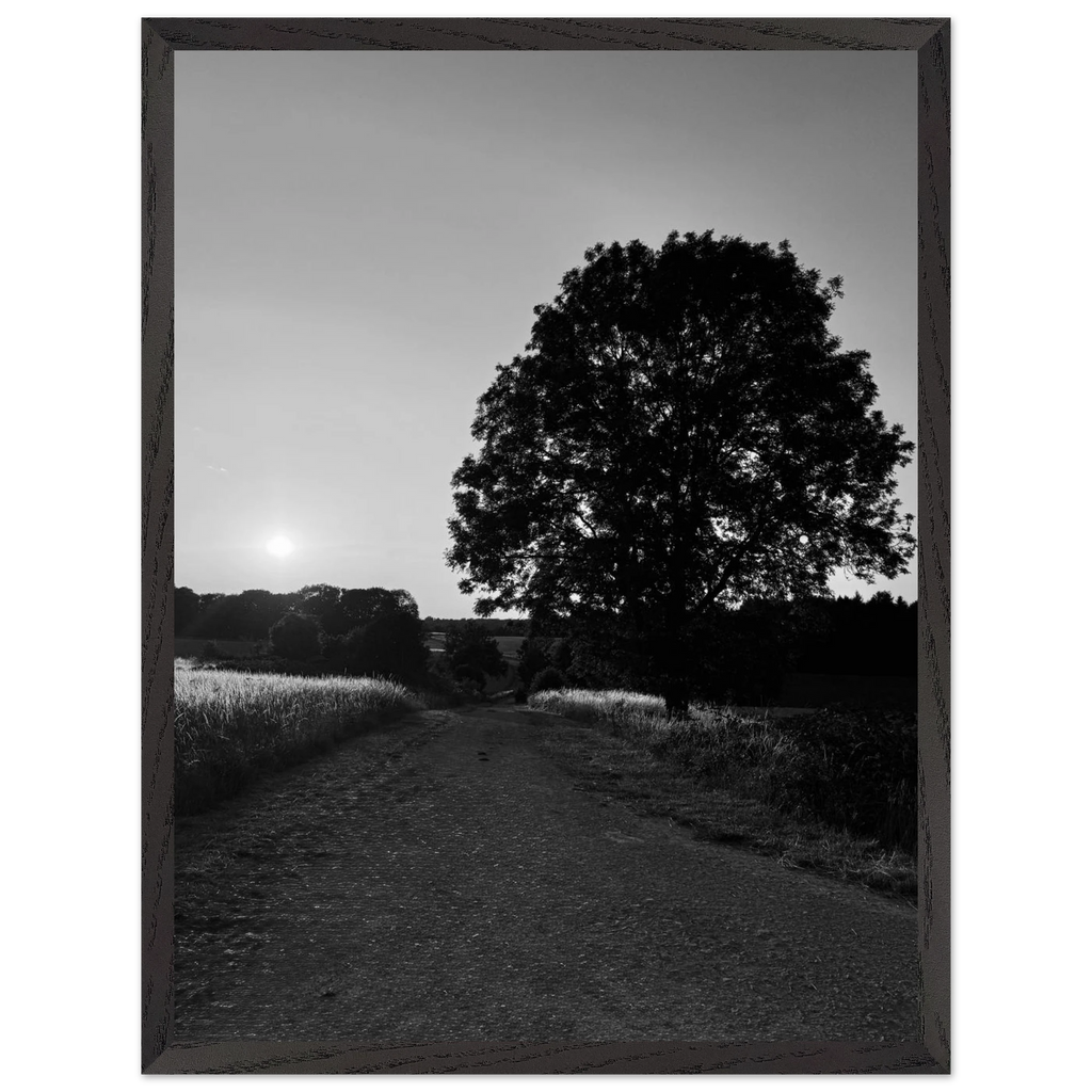 Mounted wooden framed poster of a black and white summer scene in the English Cotswolds from the Studio Edition travel collection.