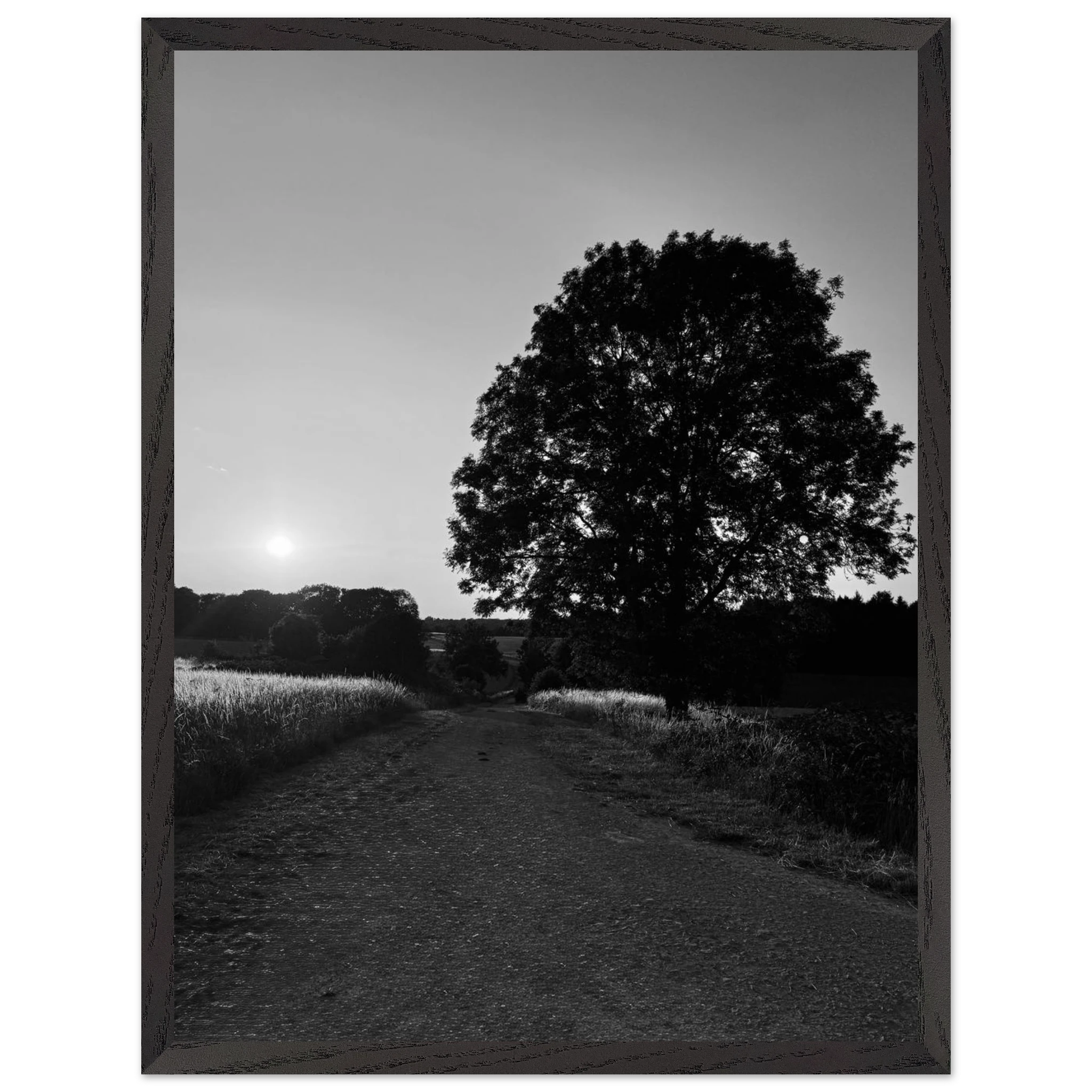 Mounted wooden framed poster of a black and white summer scene in the English Cotswolds from the Studio Edition travel collection.