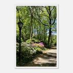 Central Park walkway framed art print on premium matte paper with wooden frame, part of Studio Edition travel collection.