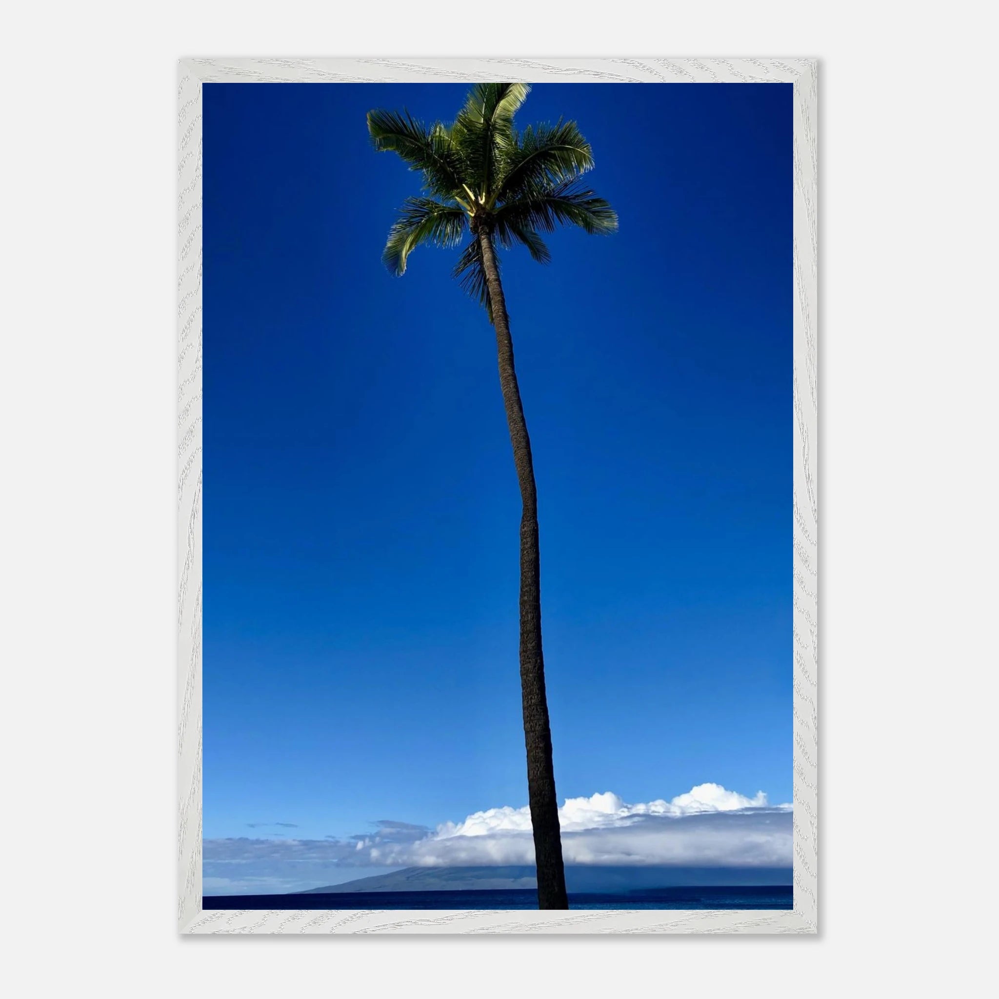 Hawaii Majestic Palm Tree Maui framed poster by CaliCuration from the Travel Collection, featuring a scenic Hawaiian island landscape print.