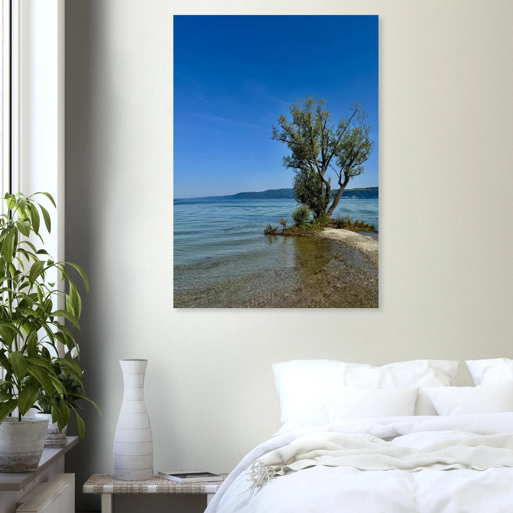 Aluminum print of a majestic tree on a European lake, nature-inspired wall art from the Travel Collection by My Store.