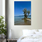 Aluminum print of a majestic tree on a European lake, nature-inspired wall art from the Travel Collection by My Store.