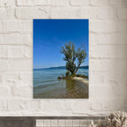 Aluminum print of a majestic tree on a European lake, nature-inspired wall art from My Store's Travel Collection, studio edition.