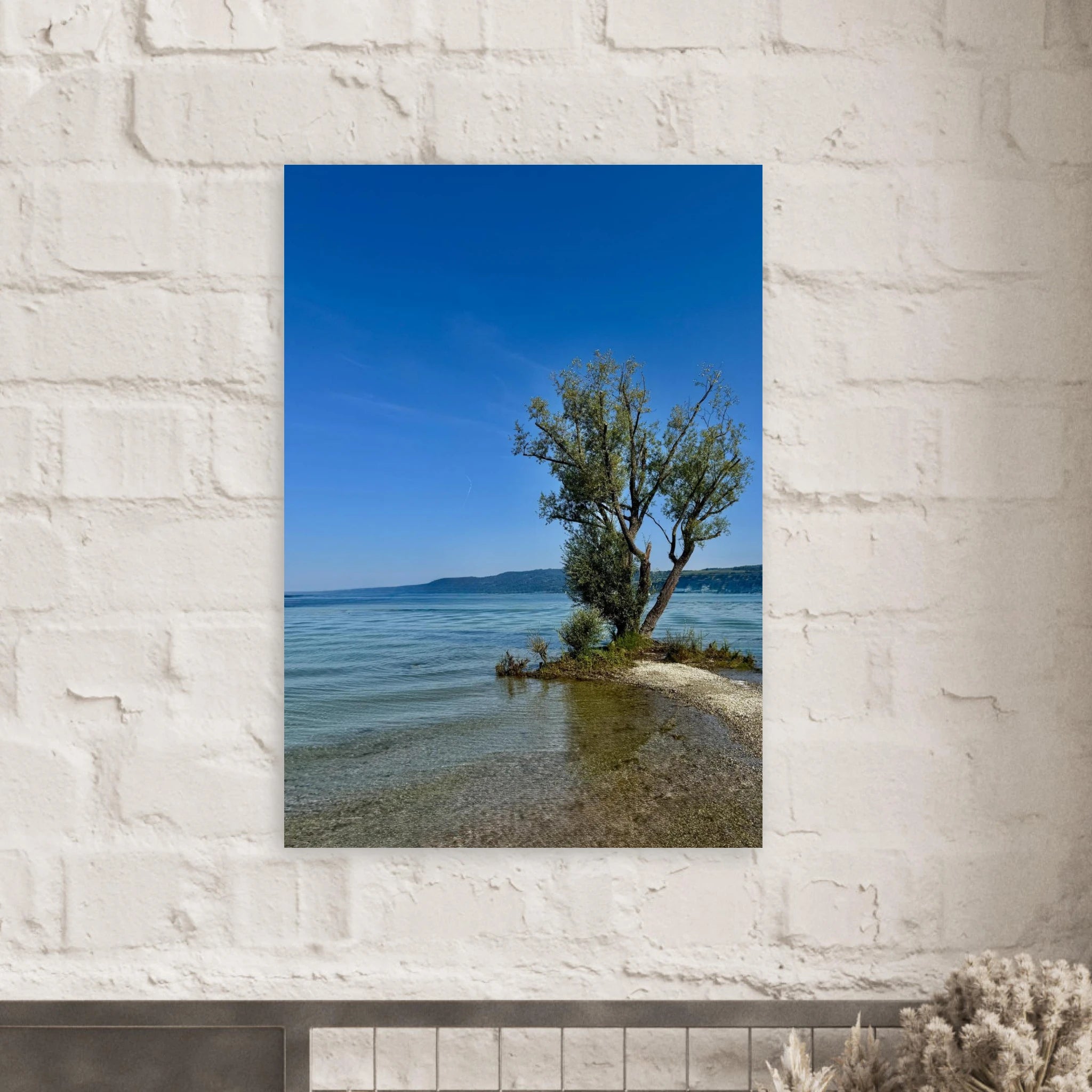Aluminum print of a majestic tree on a European lake, nature-inspired wall art from My Store's Travel Collection, studio edition.