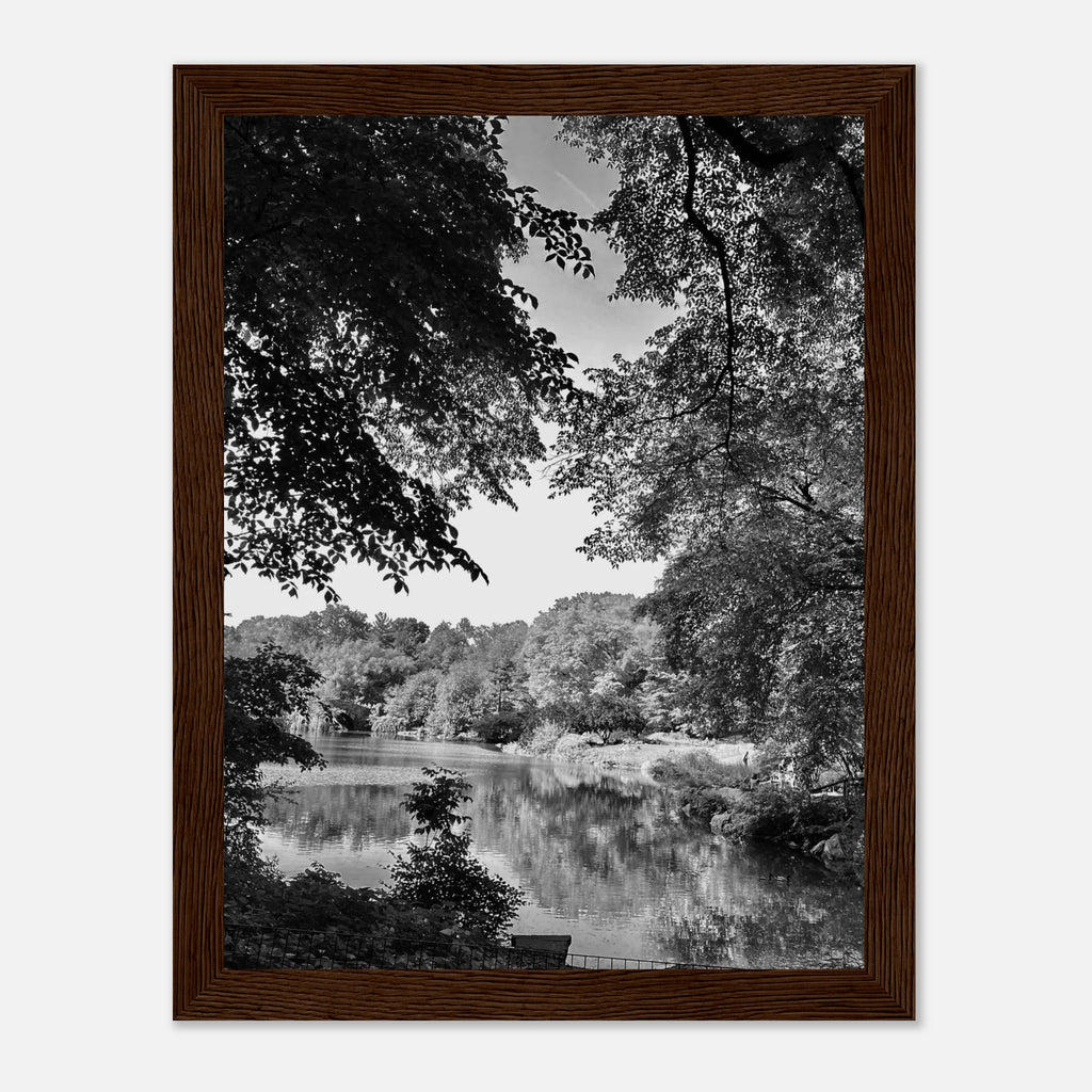 Black and white framed print of a summer lake scene from Upstate NY, part of the Studio Edition Travel Collection.