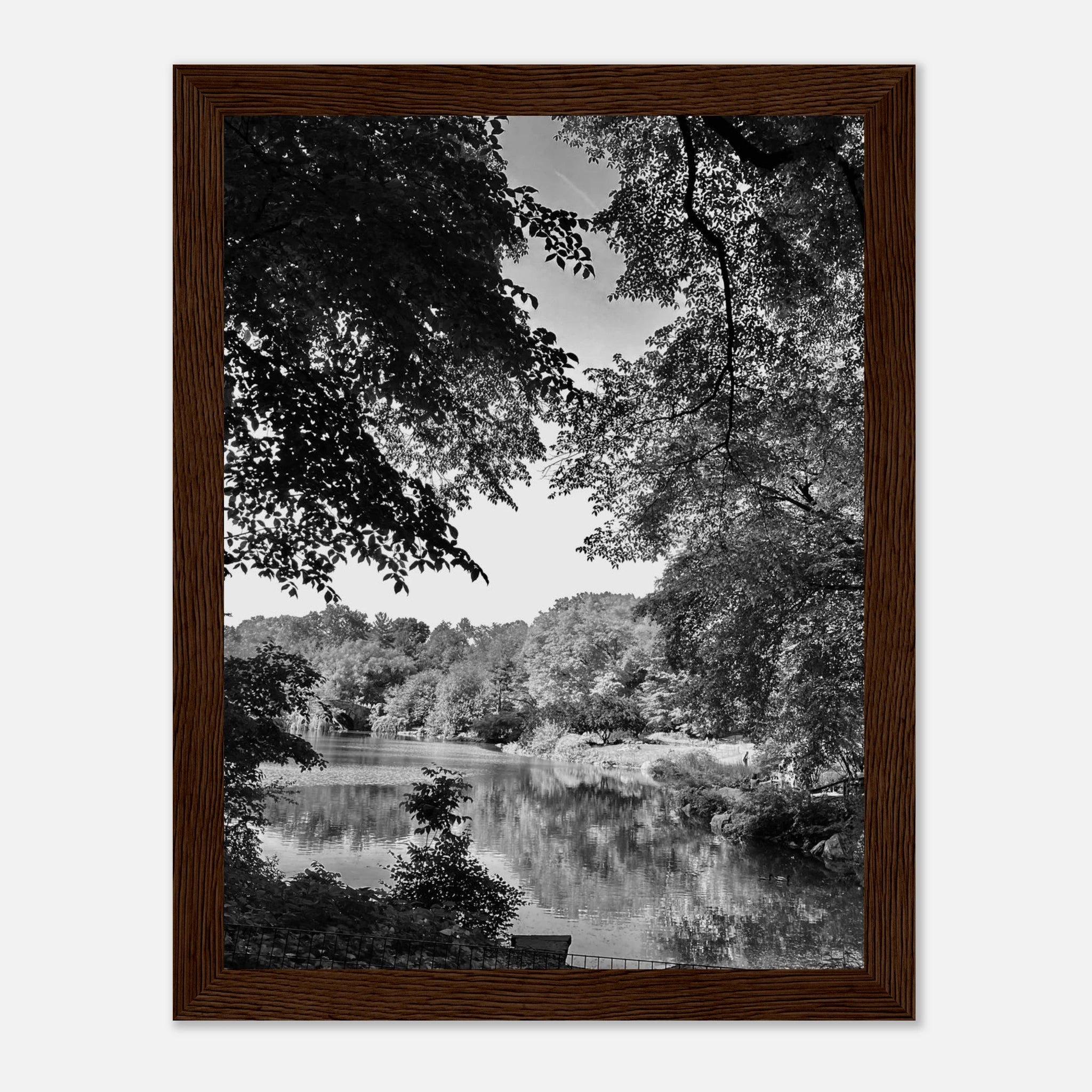 Black and white framed print of a summer lake scene from Upstate NY, part of the Studio Edition Travel Collection.