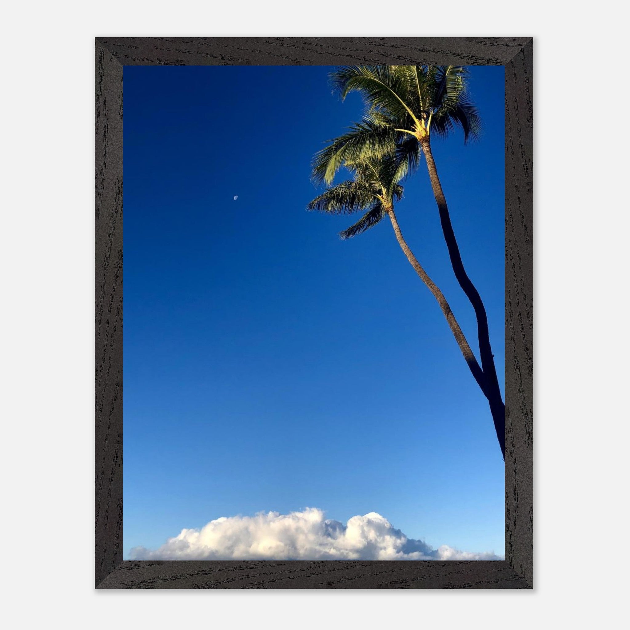 94f49e46-7dd6-4168-99aa-5e7cb83caf65