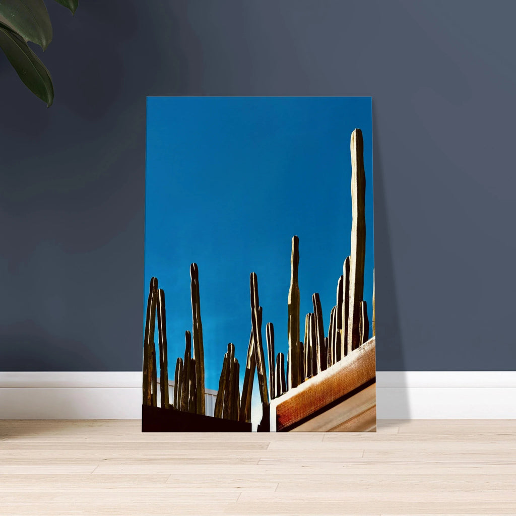 Mexico cactus family rooftop canvas artwork print from the Studio Edition Spring 26 travel collection, featuring vibrant desert plants.