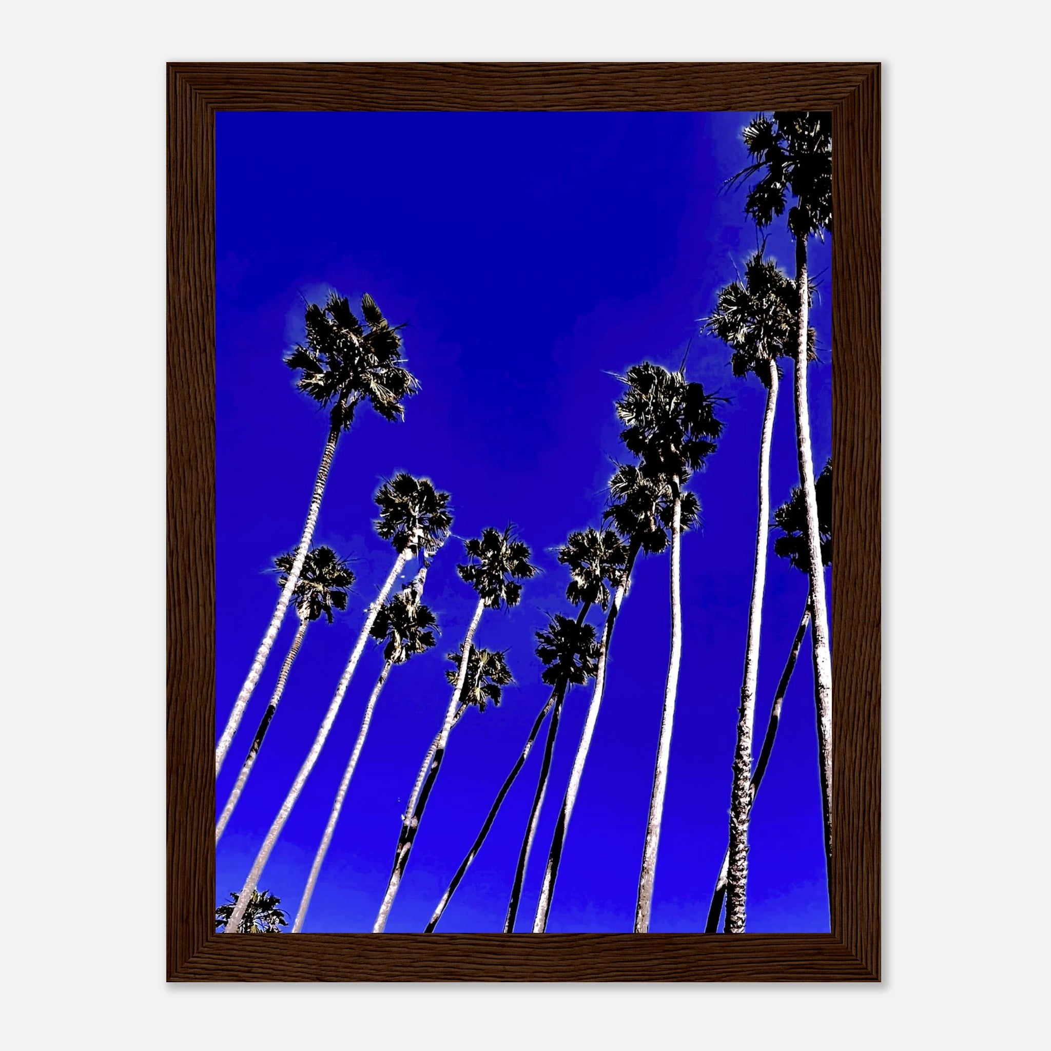 95daeaf4-dcd6-436f-88ce-fb0e98ad9277