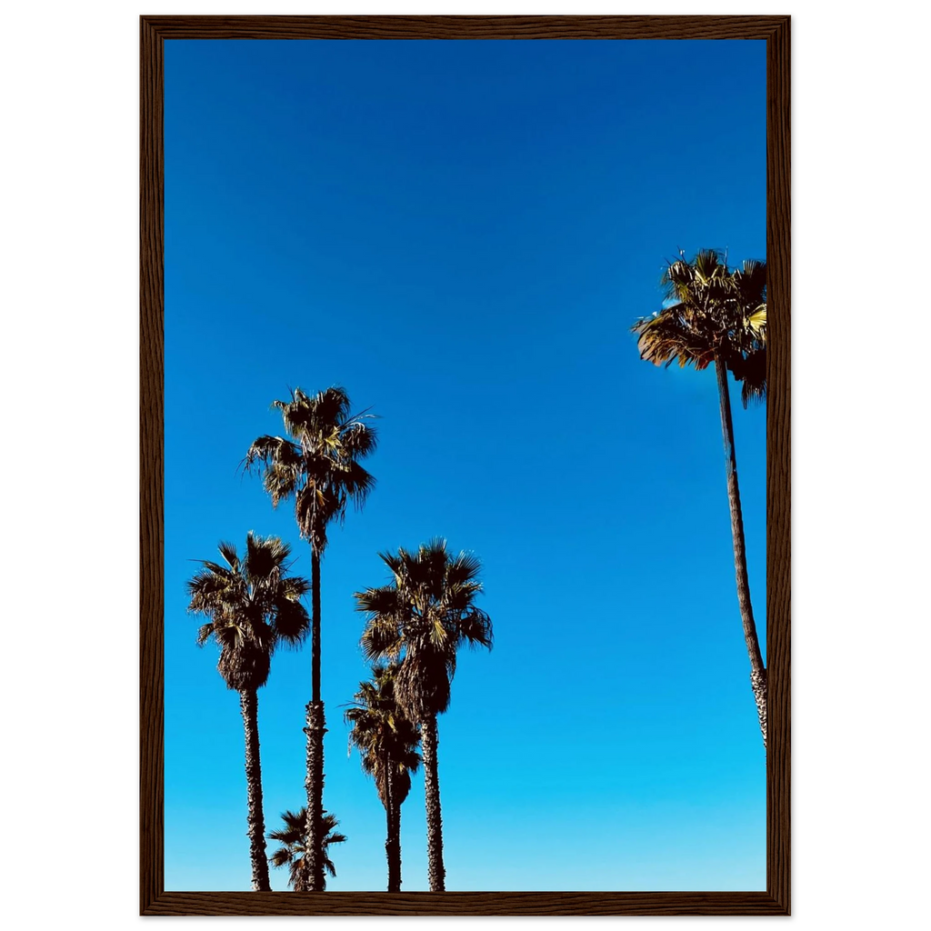 Santa Barbara Palm Tree art poster by CaliCuration, framed California home decor print on semi-glossy paper, studio edition spring '26