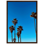 Santa Barbara Palm Tree art poster by CaliCuration, framed California home decor print on semi-glossy paper, studio edition spring '26