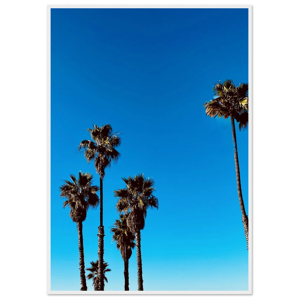 Wooden framed Santa Barbara Palm Tree Magic poster by CaliCuration, California home decor art on semi-glossy paper, spring '26 studio edition.