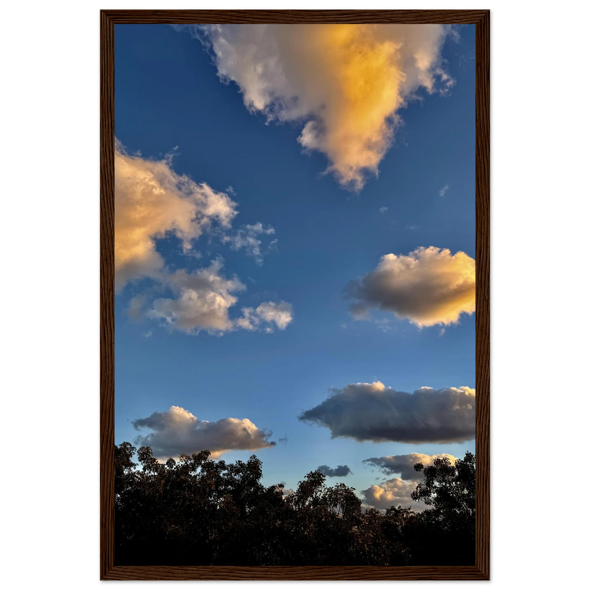 976488df-4e20-4484-a1bb-1fdd995f0978