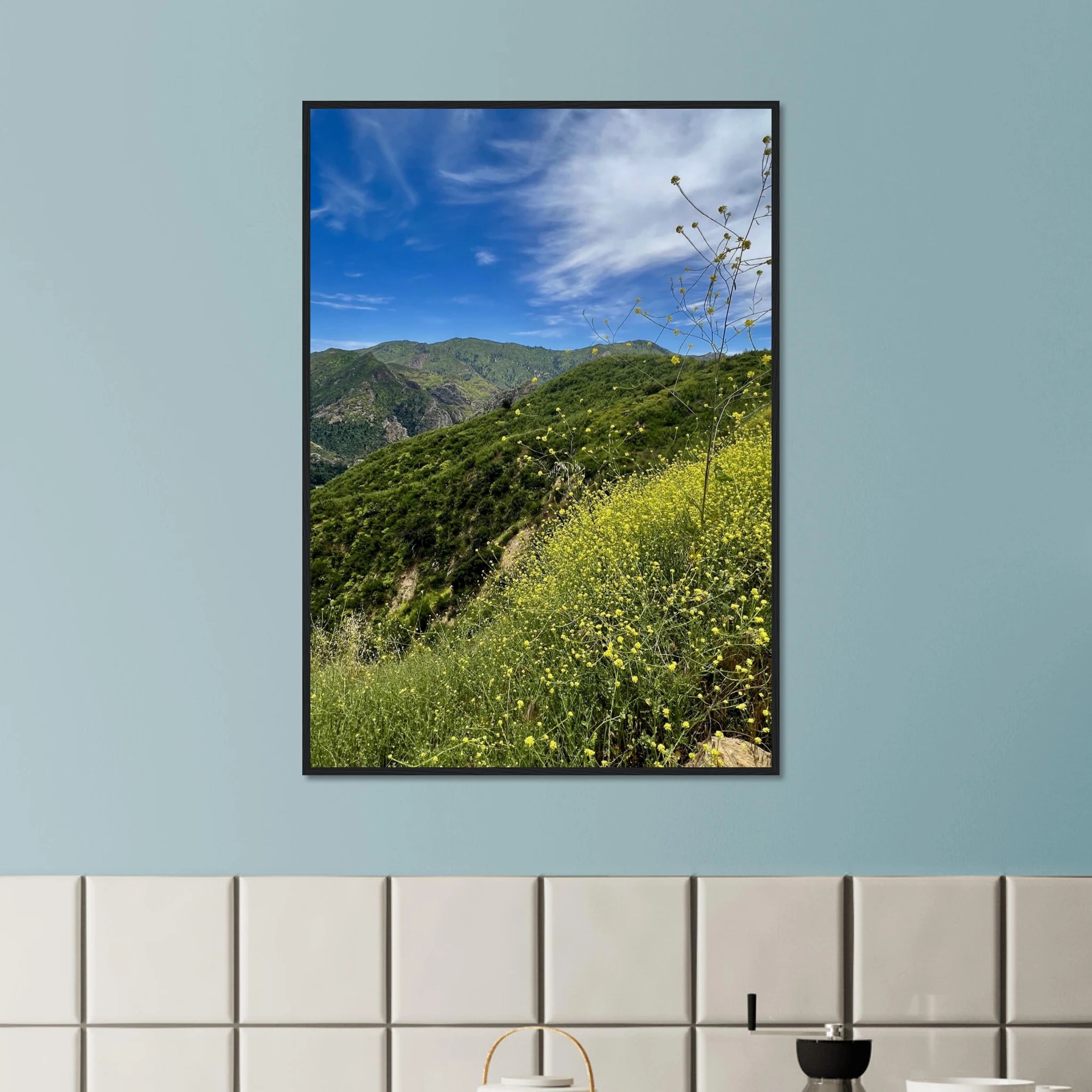 Malibu Canyon Wildflowers wooden framed poster on museum-quality matte paper wall art showcasing California nature scenery.