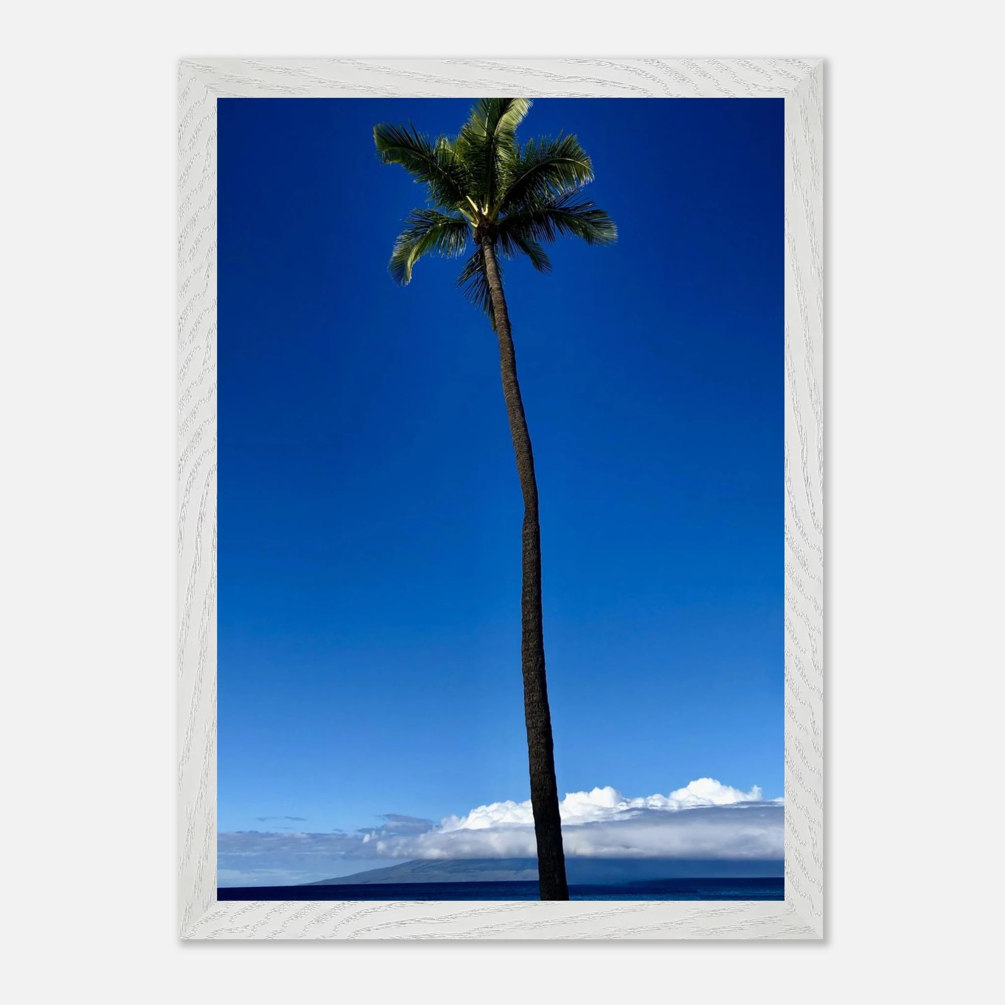 Hawaii Majestic Palm Tree Maui framed print by CaliCuration, showcasing lush palm trees in a travel collection travel print.