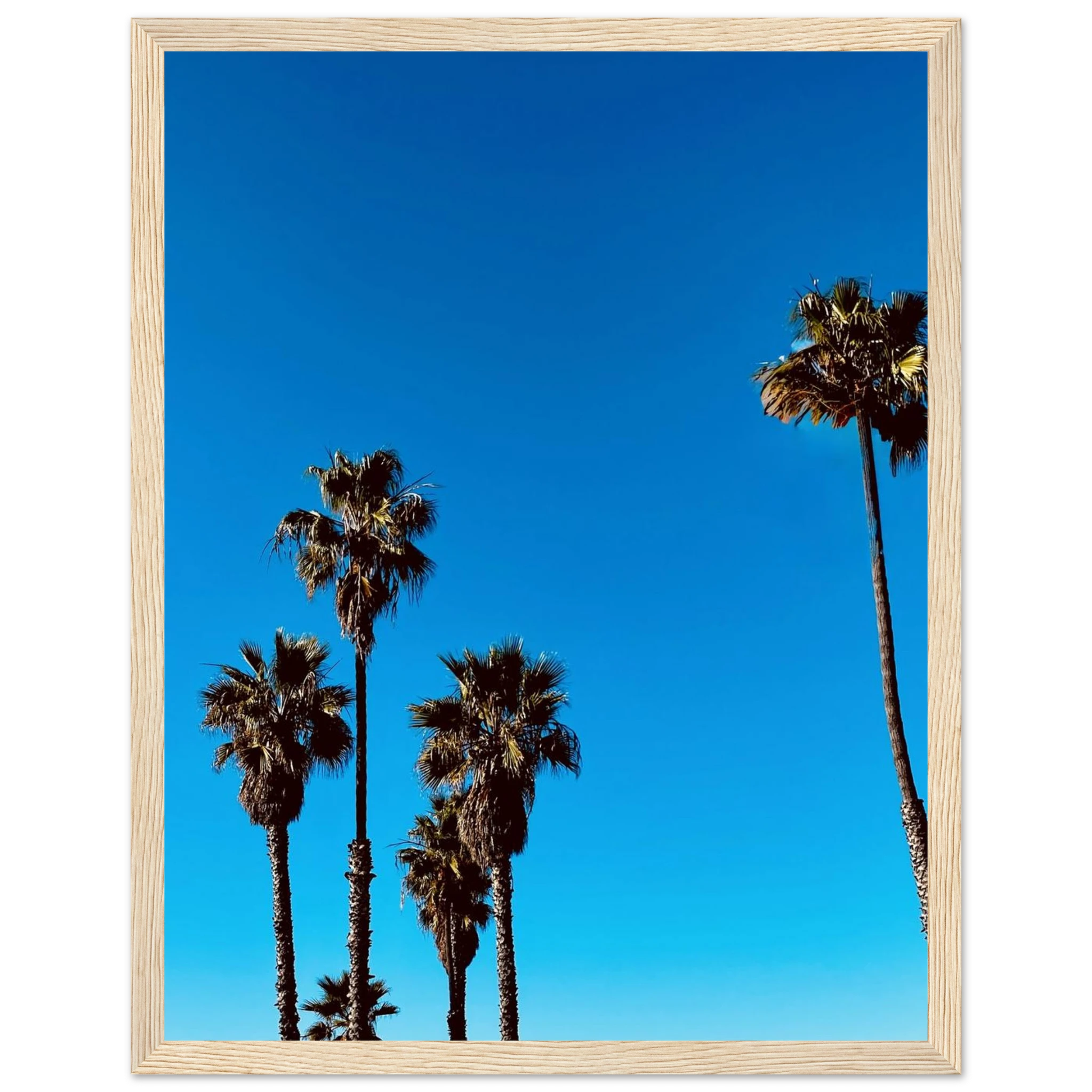 CaliCuration Santa Barbara Palm Tree Magic wooden framed poster, California art, premium semi-glossy paper, home decor artwork.