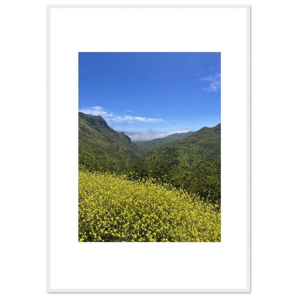 High-quality framed art print of Malibu Canyon in spring bloom wildflowers by My Store, showcasing vibrant California nature scene.