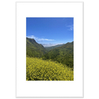 High-quality framed art print of Malibu Canyon in spring bloom wildflowers by My Store, showcasing vibrant California nature scene.