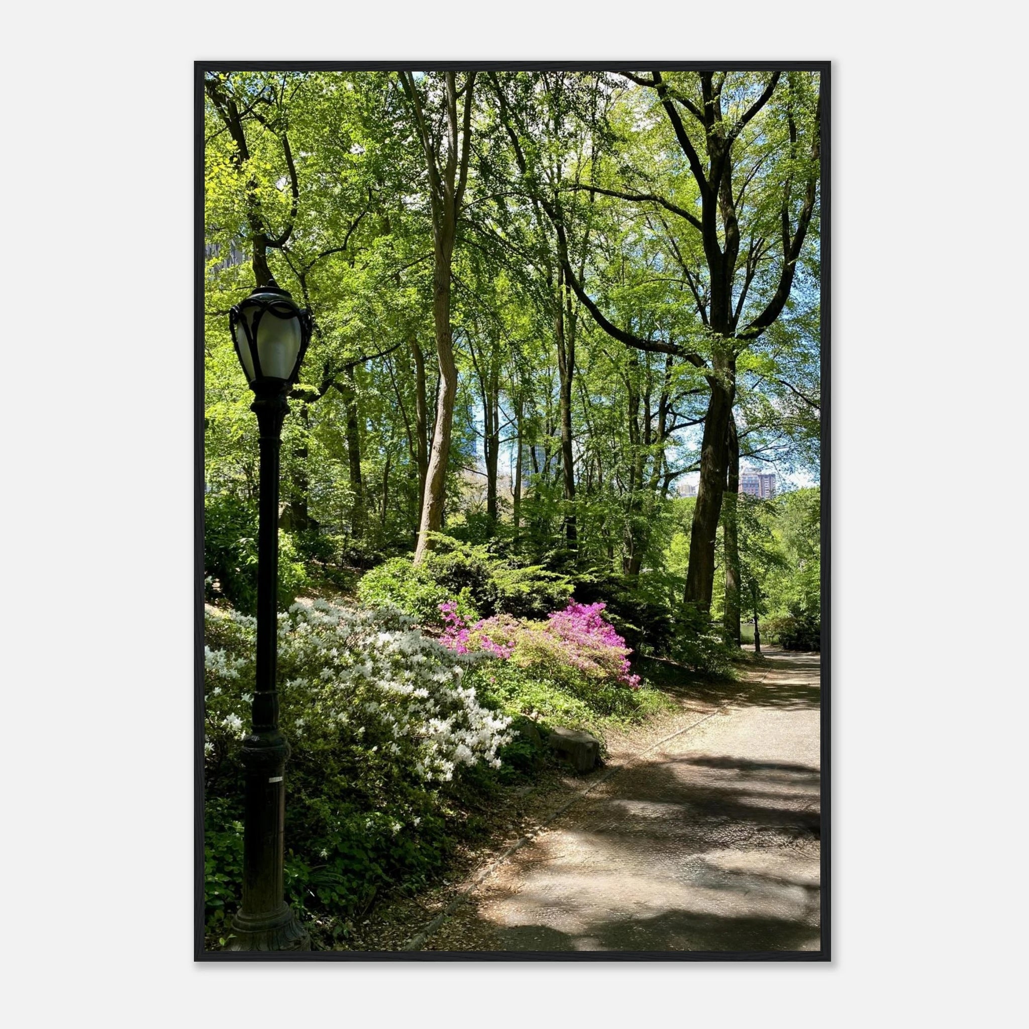 Serene Stroll Central Park walkway framed art print on premium matte paper with wooden frame, part of the Travel Collection Studio Edition.