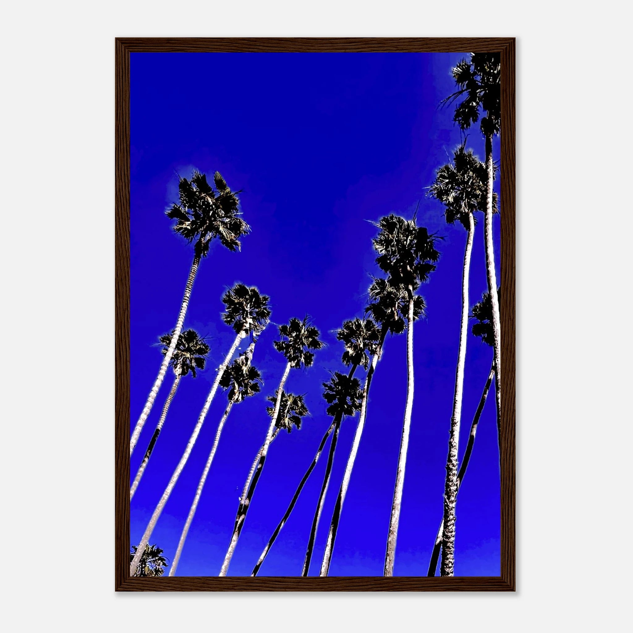 9cf9b5f9-f454-4549-a158-58a0ef52cbb2