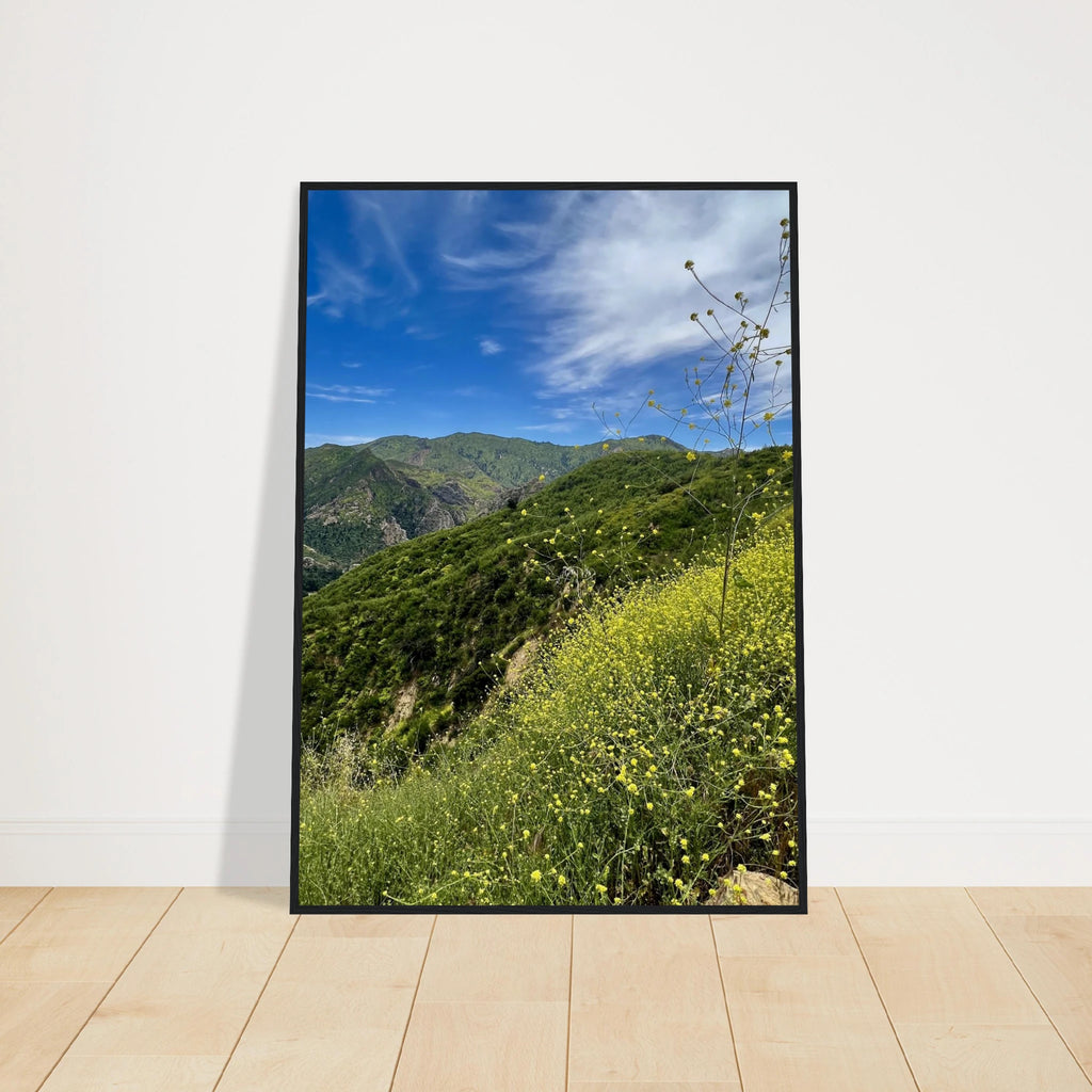 Malibu Canyon Wildflowers wooden framed poster on museum-quality matte paper wall art, California Studio Edition print.