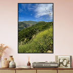 Malibu Canyon Wildflowers wooden framed poster on matte paper wall art featuring California wildflowers and studio edition design.