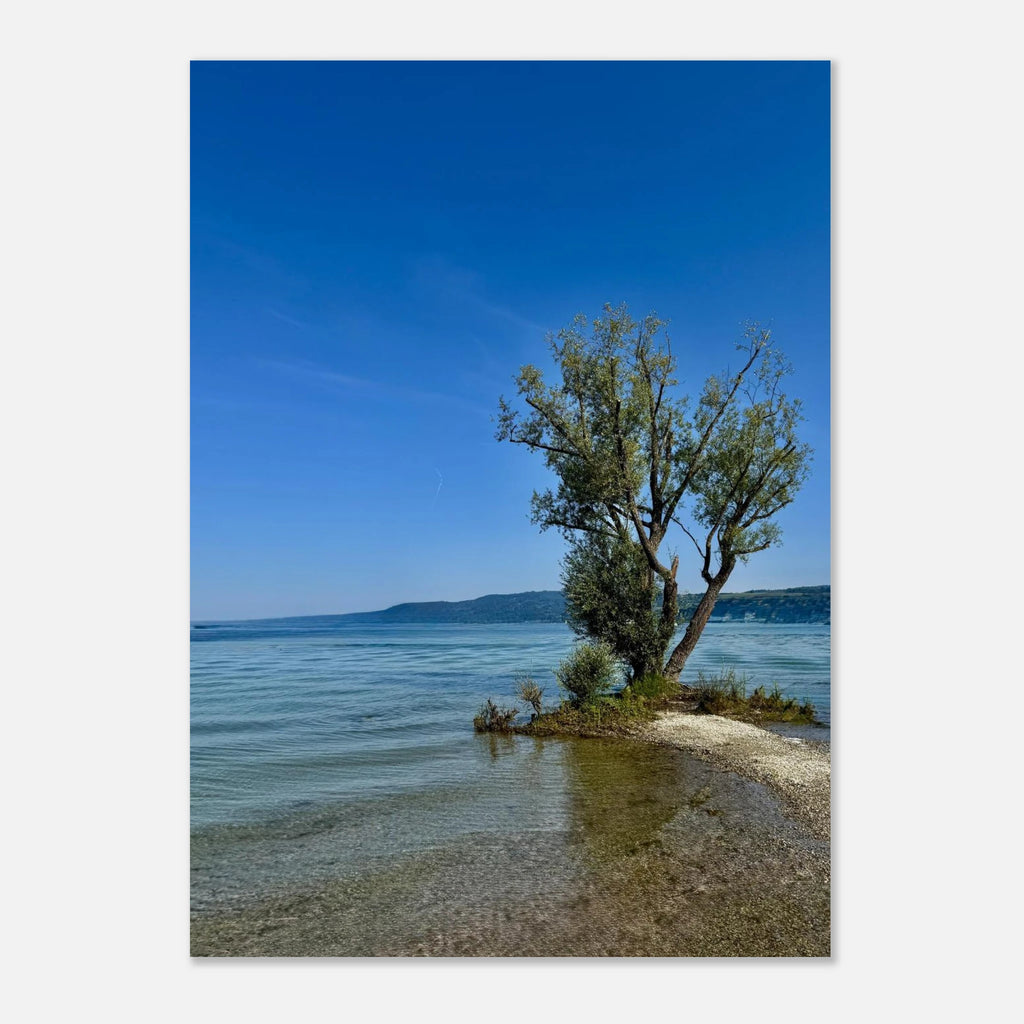 Majestic tree on a European lake aluminum print, nature-inspired wall art from the Travel Collection, Studio Edition by My Store.