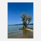 Majestic tree on a European lake aluminum print, nature-inspired wall art from the Travel Collection, Studio Edition by My Store.