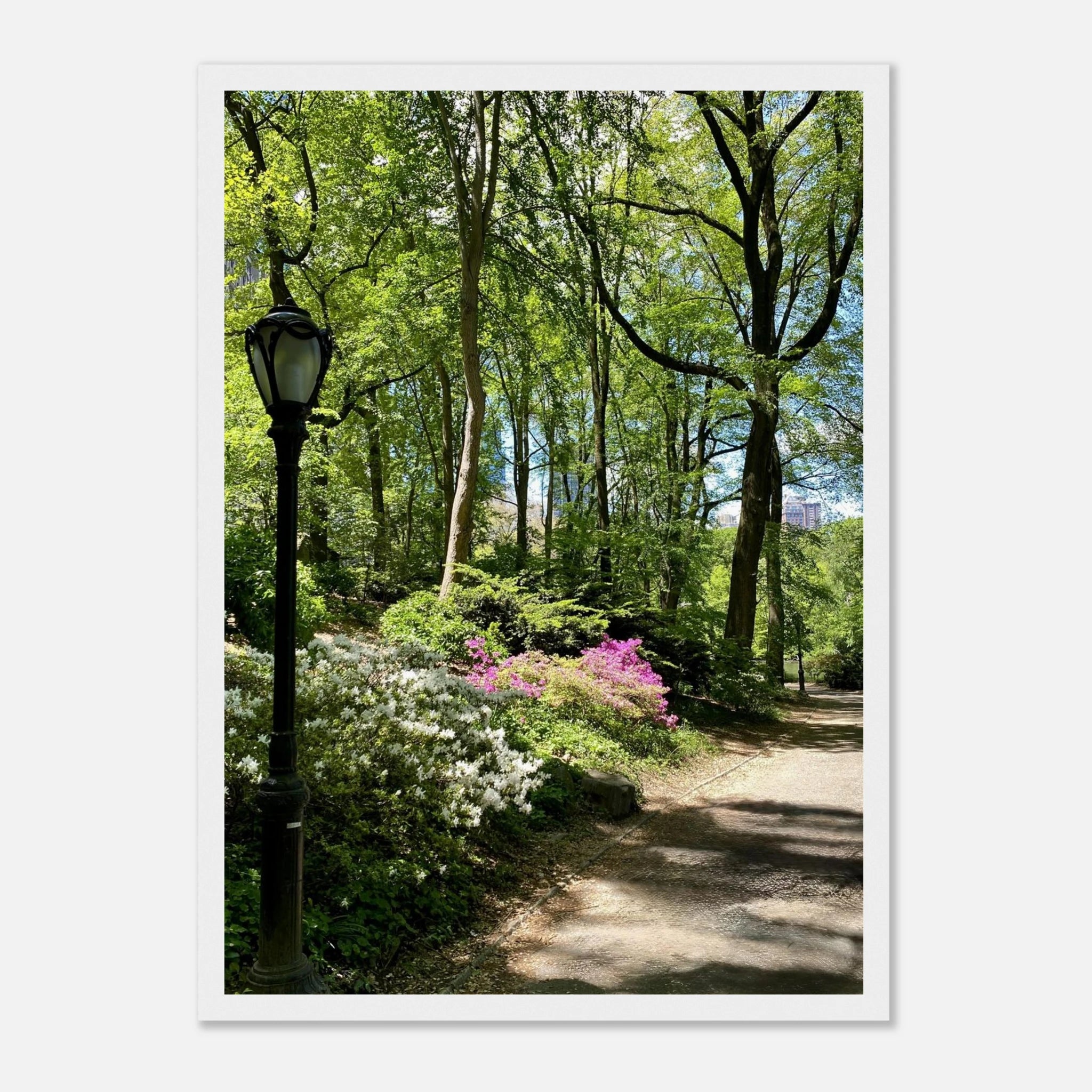 Framed art print of Central Park walkway scene on premium matte paper, featuring a wooden frame, from the Serene Stroll travel collection.