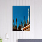Mexico cactus family rooftop canvas print from My Store’s Travel Collection, Studio Edition Spring 2026, showcasing vibrant desert plants.