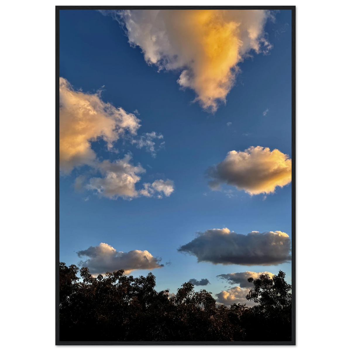 9edfd691-bbea-4d61-970b-08010034fdc7
