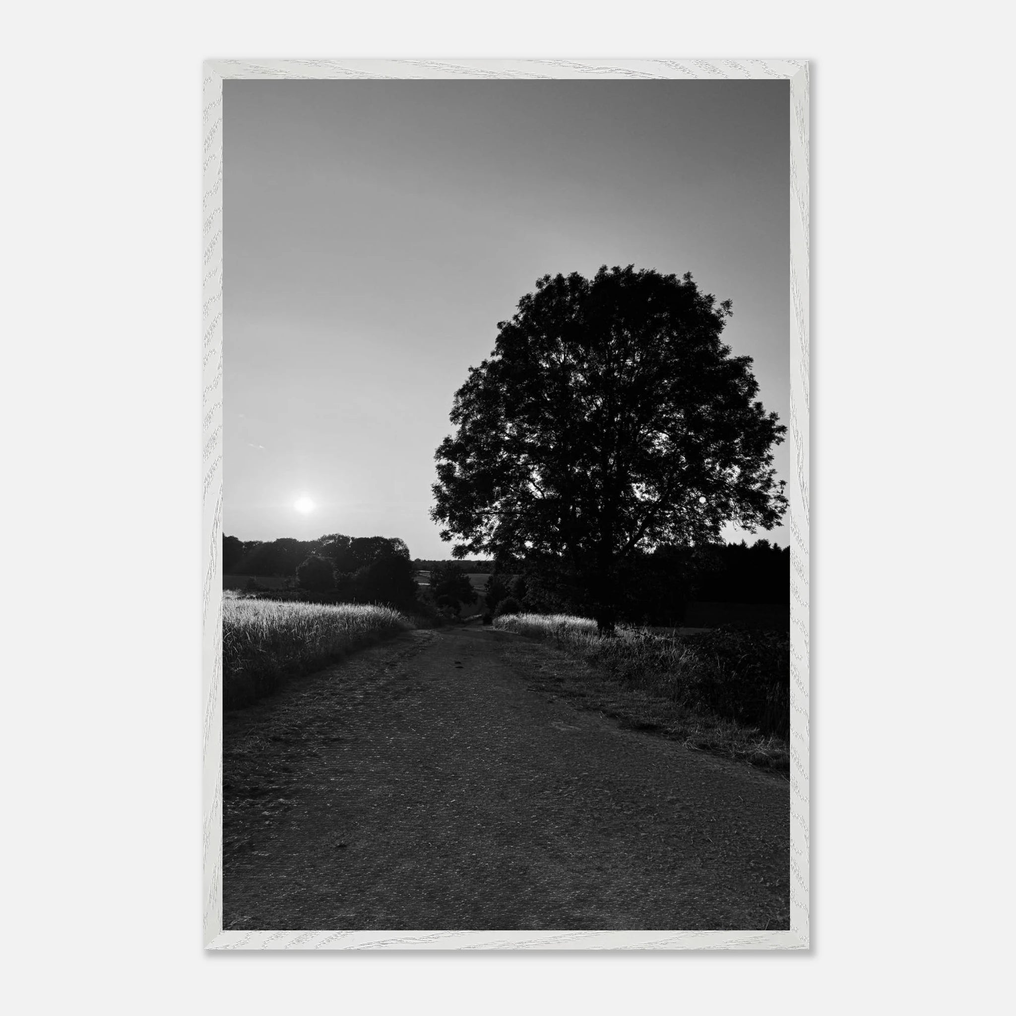 Mounted wooden framed poster of a black and white summer countryside scene in the Cotswolds, part of the Studio Edition travel collection.