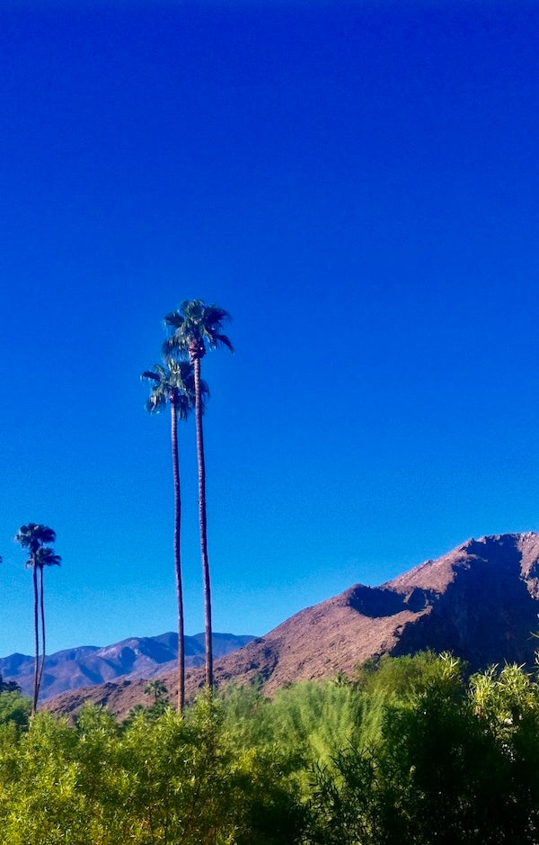 Image with text section