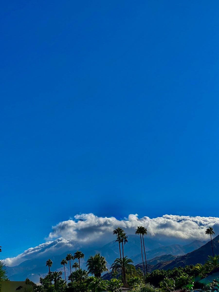 Image with text section