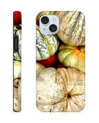 Fall Harvest pumpkin and gourd phone case with rustic farmhouse design, featuring vibrant autumn colors and print material.