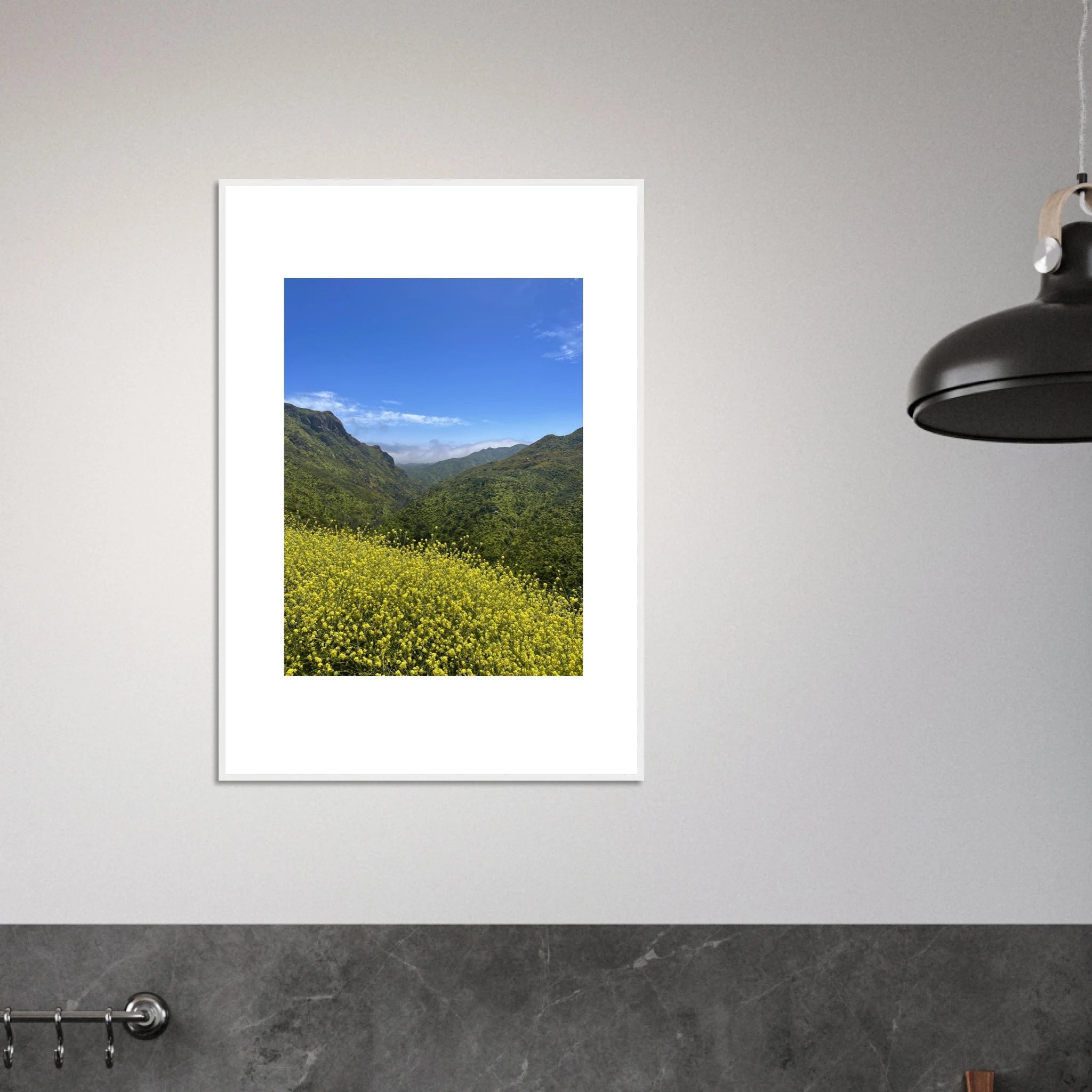 High-quality framed art print of Malibu Canyon in spring bloom wildflowers, California poster art by My Store.