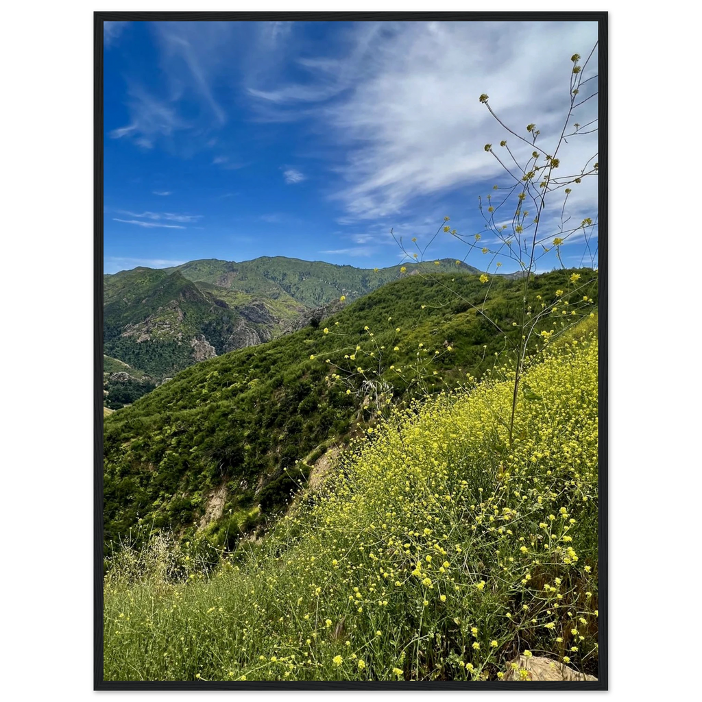 Malibu Canyon Wildflowers wooden framed poster on museum-quality matte paper wall art, featuring California poster art in studio edition style.