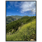 Malibu Canyon Wildflowers wooden framed poster on museum-quality matte paper wall art, featuring California poster art in studio edition style.